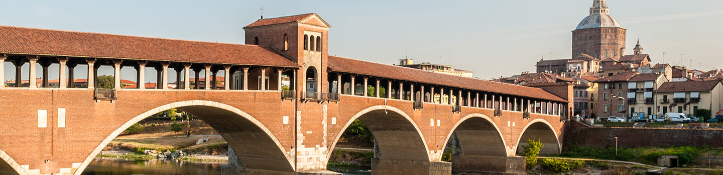 Idee di viaggio: Pavia